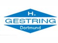 Heinrich Gestring GmbH & Co. KG