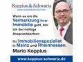 Koppius & Schwartz Immobilienmaklergesellschaft mbH