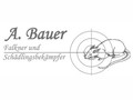 A. Bauer