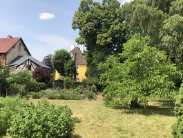 Sonniger Garten/Baugrundstück